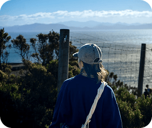 Exploring the wines of Portugal